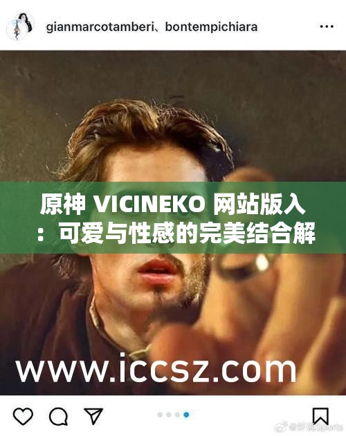 原神 VICINEKO 网站版入：可爱与性感的完美结合解析