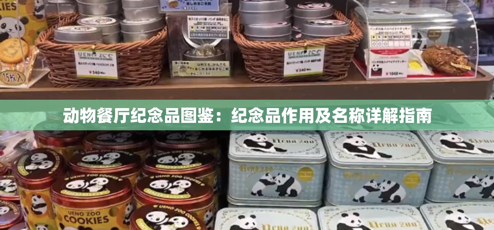 动物餐厅纪念品图鉴：纪念品作用及名称详解指南