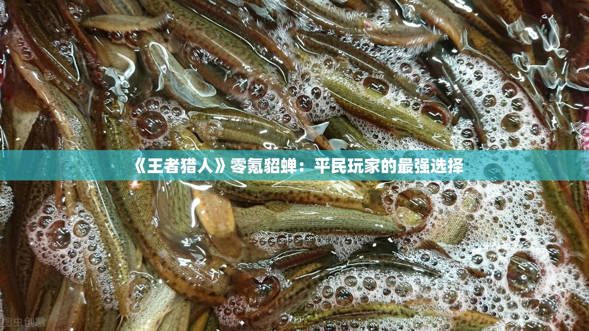 《王者猎人》零氪貂蝉：平民玩家的最强选择