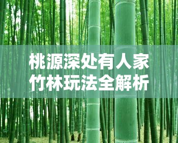 桃源深处有人家竹林玩法全解析：解锁竹林的详细攻略