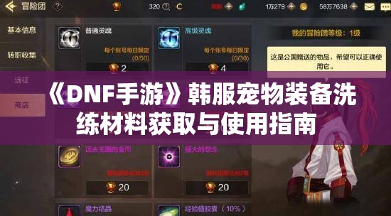 《DNF手游》韩服宠物装备洗练材料获取与使用指南