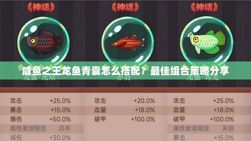 咸鱼之王龙鱼青囊怎么搭配？最佳组合策略分享