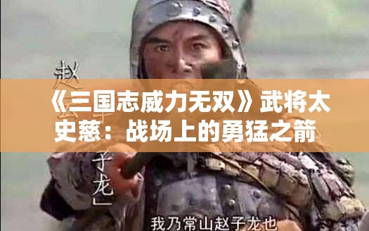 《三国志威力无双》武将太史慈：战场上的勇猛之箭