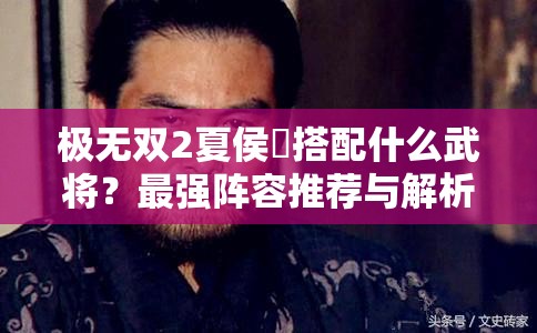 极无双2夏侯惇搭配什么武将？最强阵容推荐与解析